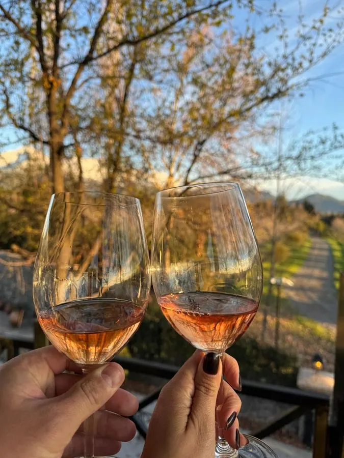 Two glasses of rosé wine toasting at sunset at a winery