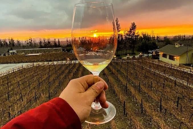 Glass of white wine at sunset over the vineyards
